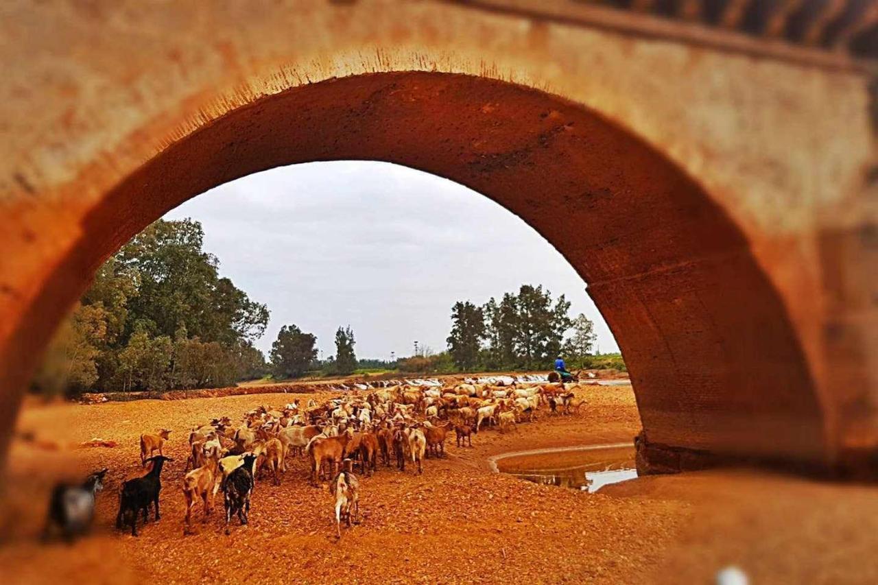Casa Rural Finca Real De Niebla Εξωτερικό φωτογραφία