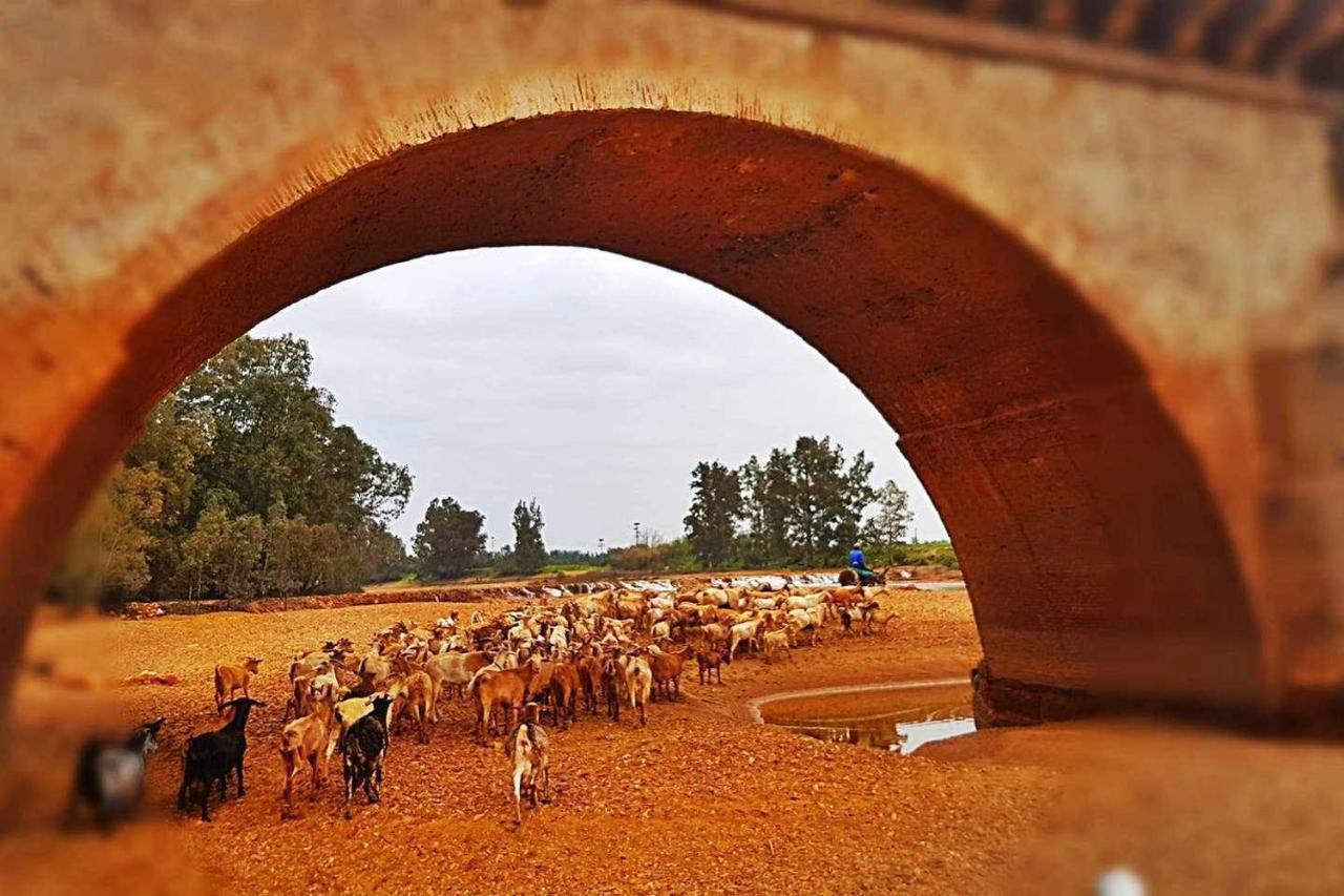 Casa Rural Finca Real De Niebla ξενώνας Εξωτερικό φωτογραφία