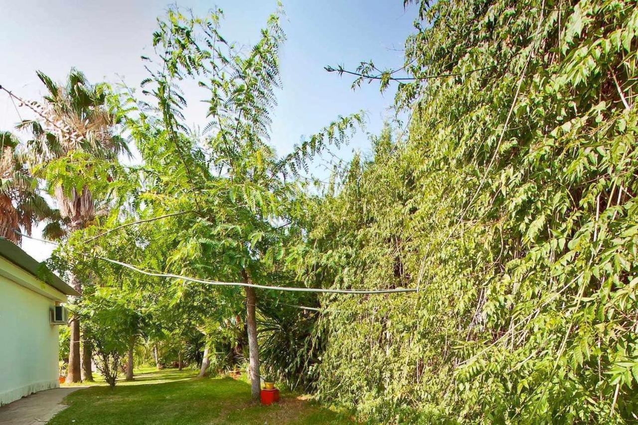 Casa Rural Finca Real De Niebla ξενώνας Εξωτερικό φωτογραφία