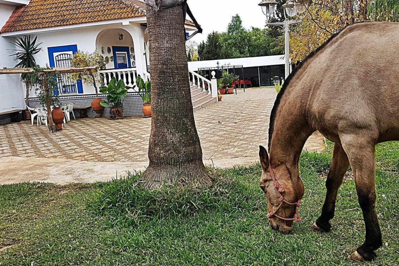 Casa Rural Finca Real De Niebla ξενώνας Εξωτερικό φωτογραφία