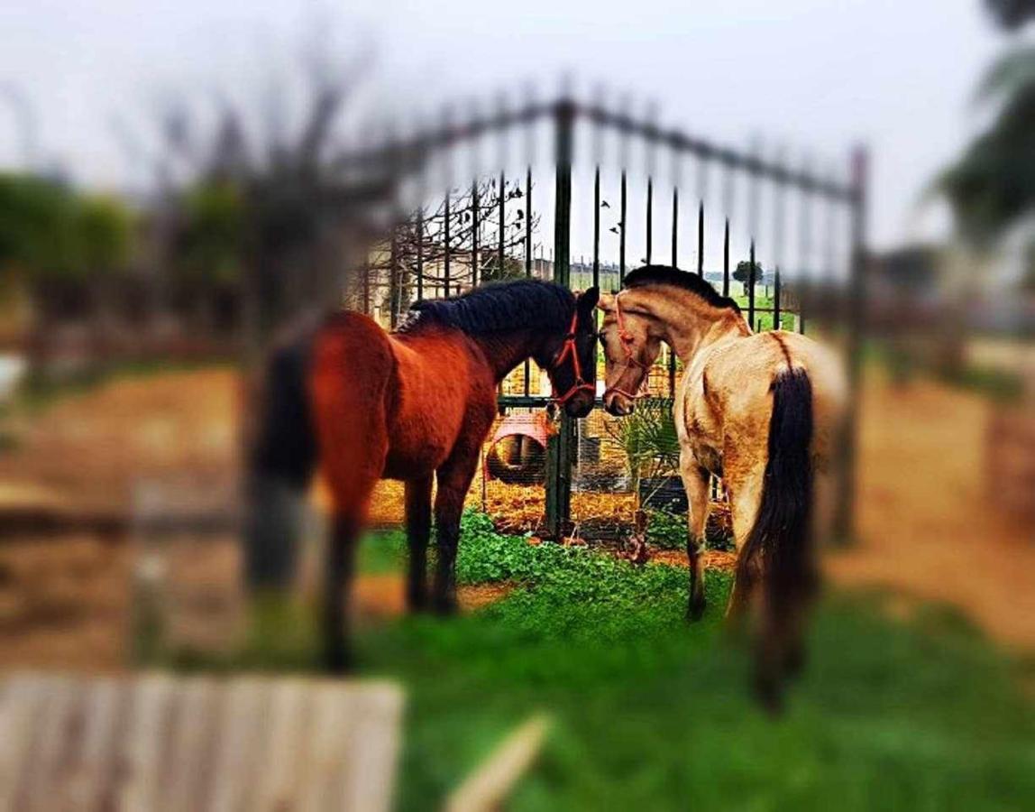 Casa Rural Finca Real De Niebla ξενώνας Εξωτερικό φωτογραφία