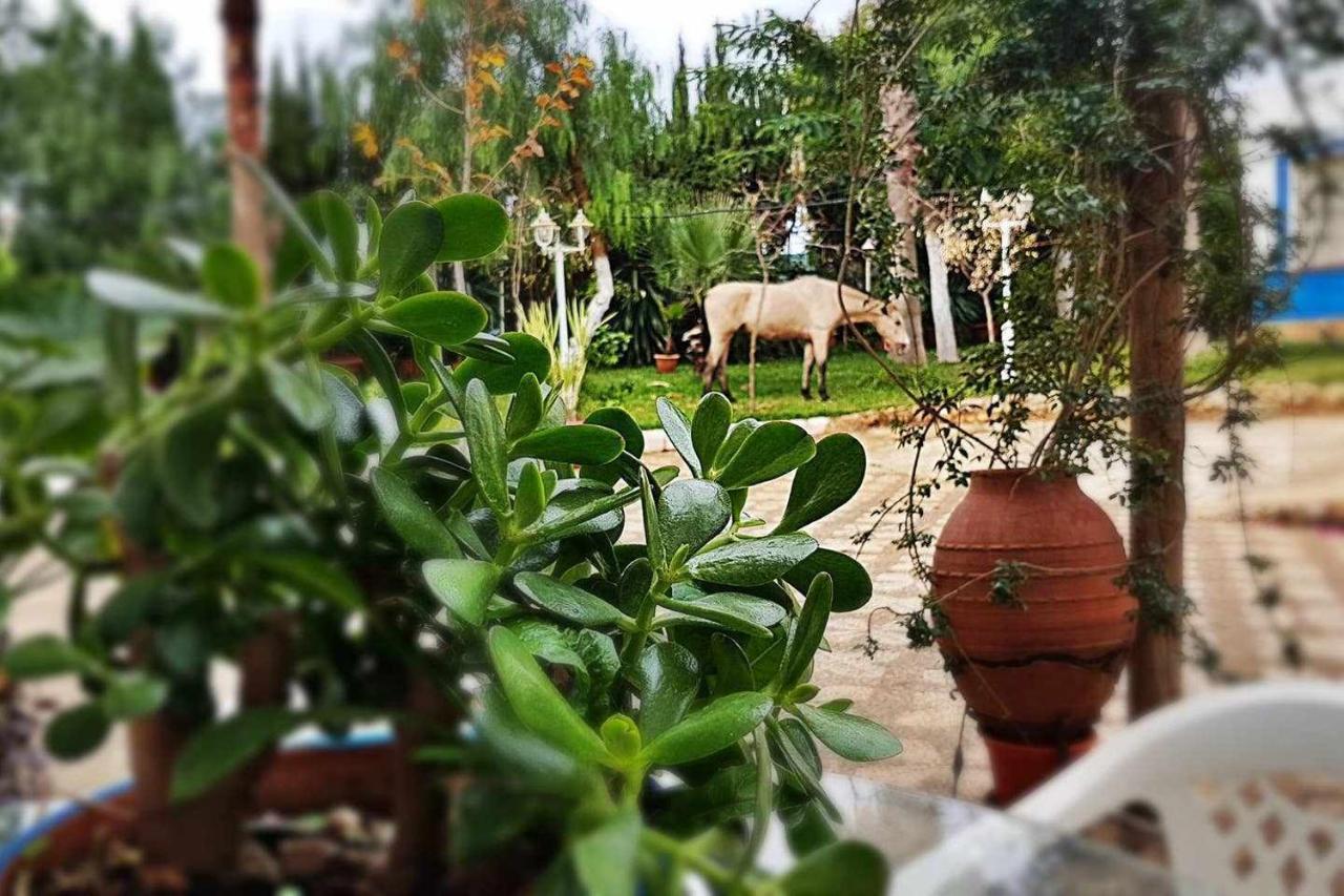 Casa Rural Finca Real De Niebla Εξωτερικό φωτογραφία