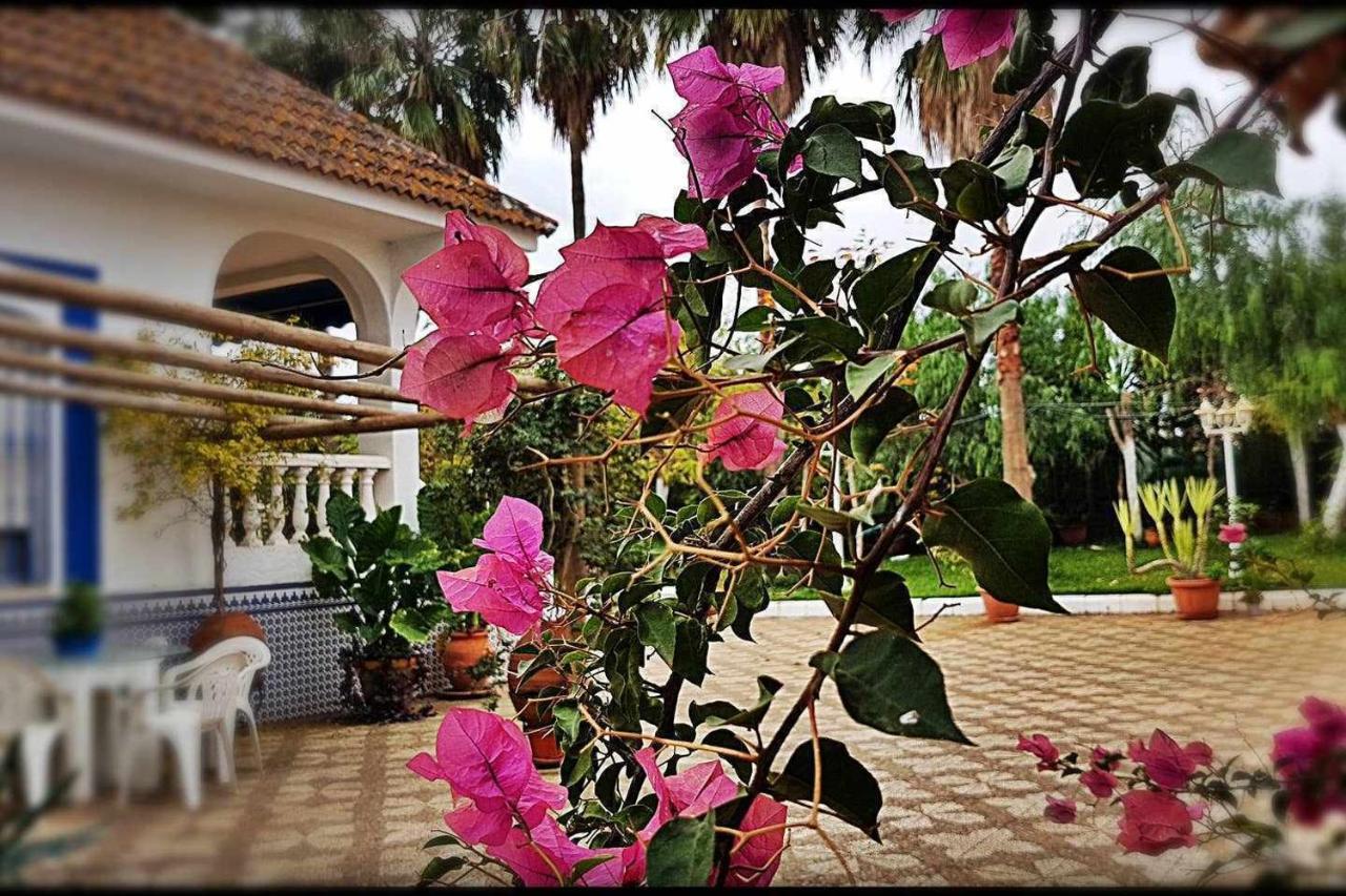 Casa Rural Finca Real De Niebla ξενώνας Εξωτερικό φωτογραφία